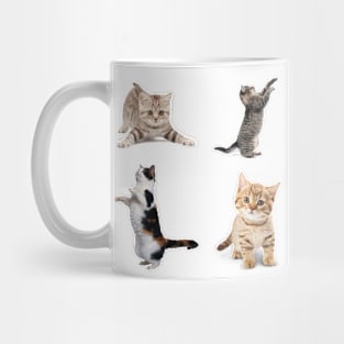 Awesome kitten cat love - cat lover pack Mug